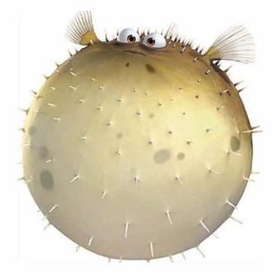 bloat_pufferfish